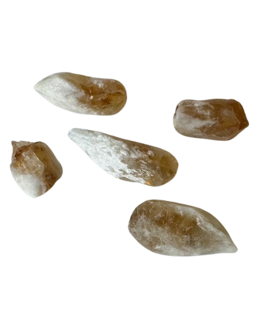 Mineral - Dientes de Citrino (unidad)