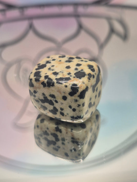 Mineral - Jaspe Dalmata