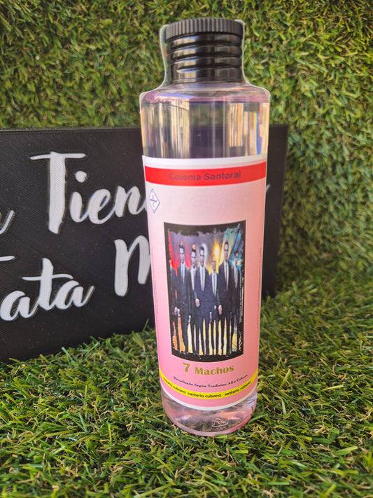 Colonia Santoral de 7 Machos - Santería Cubana para Protección, Éxito y Fuerza Espiritual Ritualizado según la Tradición Afro Cubana