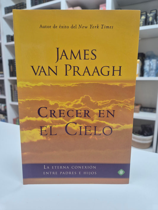 Crecer en el Cielo-Qué ocurre con el alma de los niños tras la muerte