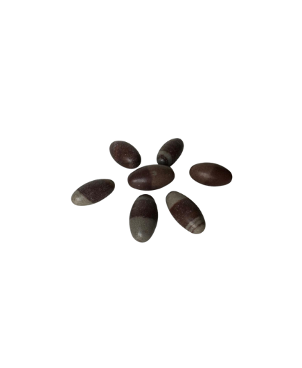 Piedra Sagrada Shiva Lingam