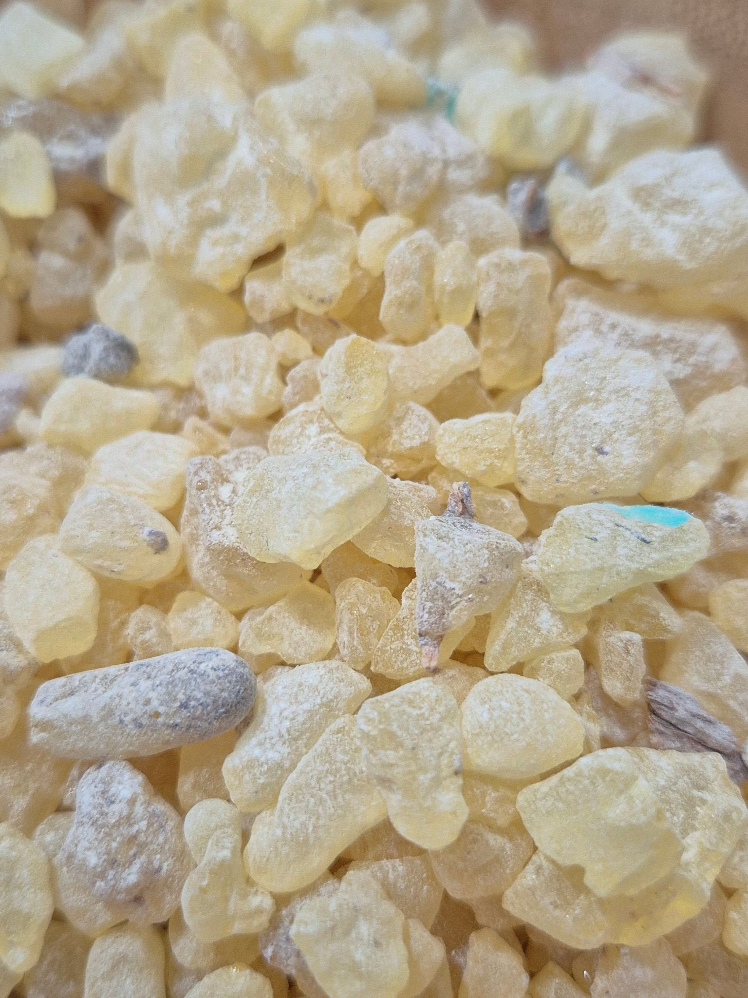Resina Dammer 100 gr — Incienso de Purificación y Luz Espiritual Resinas e InciensosTienda esotérica Málaga - La Tienda de Tata Magic: tienda Esotérica en Málaga