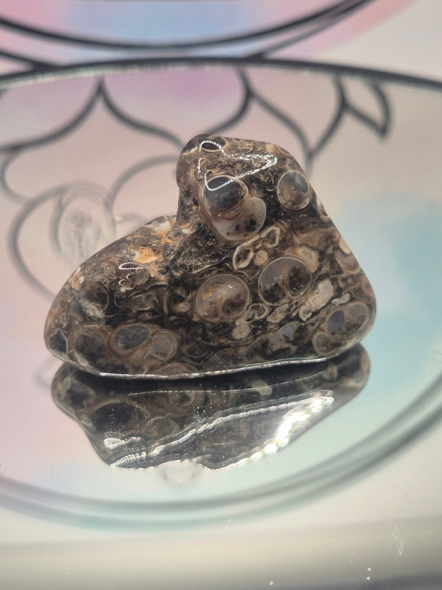 Mineral Ágata Turritela mineralesrodadosTienda esotérica Málaga - La Tienda de Tata Magic: tienda Esotérica en Málaga