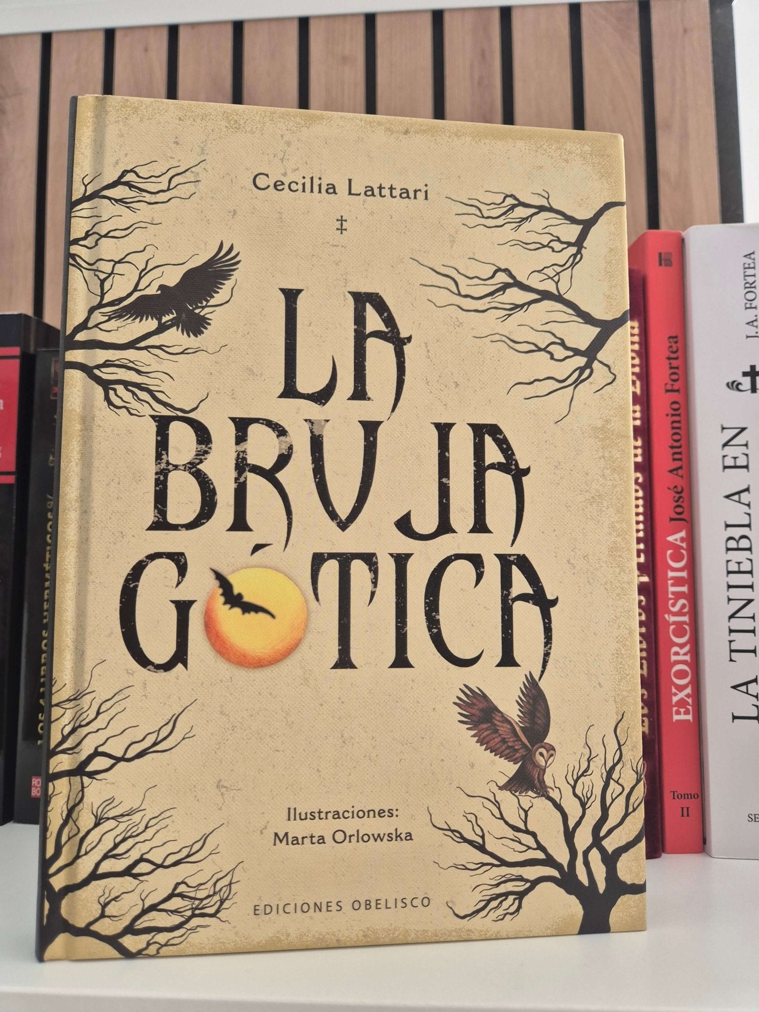 La bruja gotica de Cecilia Lattari LibroTienda esotérica Málaga - La Tienda de Tata Magic: tienda Esotérica en Málaga